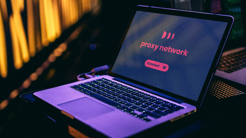 Kein Proxy Firefox Proxy-Server nicht gefunden – Lösung freerangestock