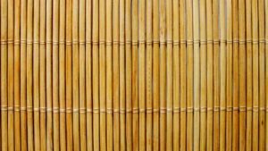 Sichtschutz für den Garten - Der Bambuszaun als witterungsbeständiges und vielseitiges Material