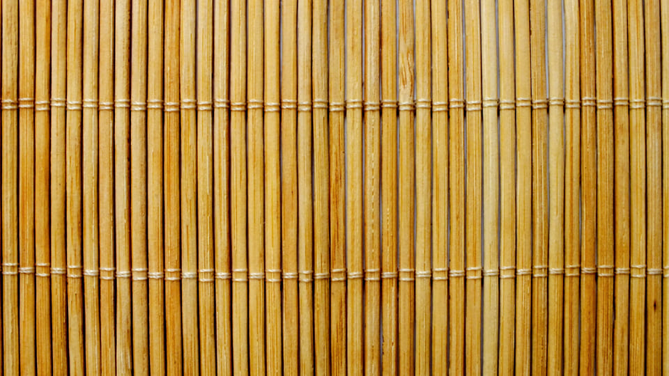 Sichtschutz für den Garten - Der Bambuszaun als witterungsbeständiges und vielseitiges Material