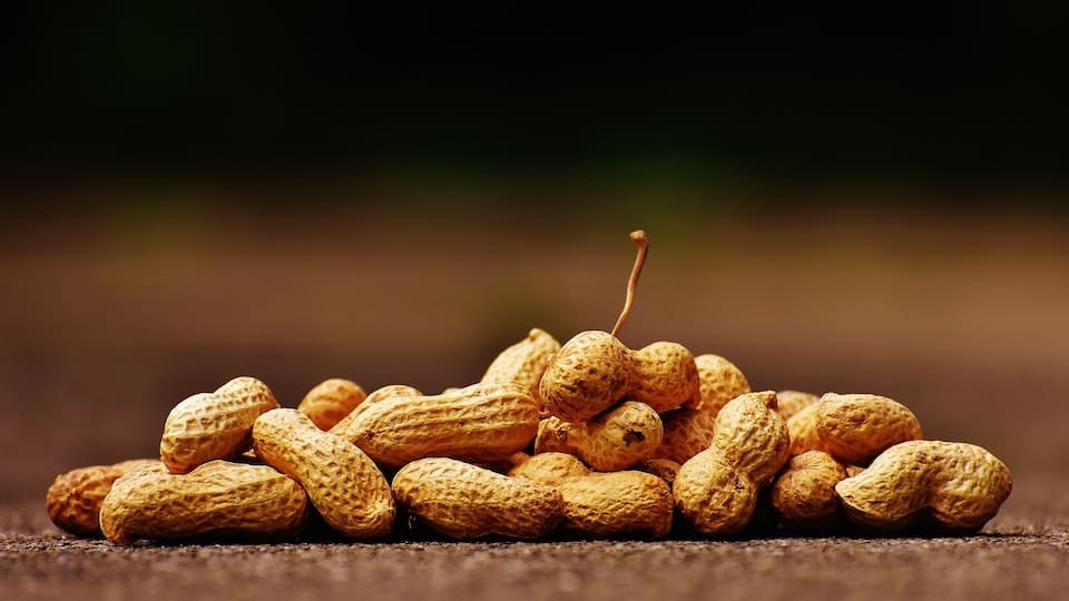 Erdnussallergie - meine Erfahrungen mit der Allergie gegen Erdnüsse