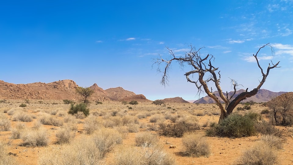 Beste Reisezeit Namibia - Namibia-Urlaub planen und ideale Reise wählen - Lösung