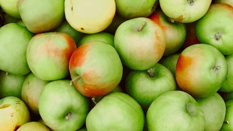 Wie Viele Kalorien Hat Eine Apfelsine Wie viele Kalorien hat ein Apfel? Lösung, Tipps und Hinweise
