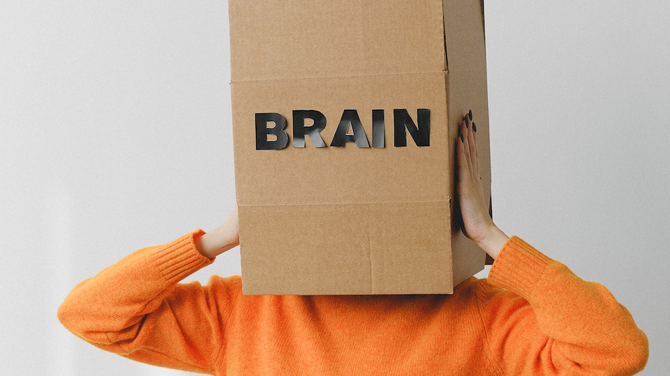 Gehirnzellen Wie viele Gehirnzellen hat ein Mensch Erklärung und Hinweise