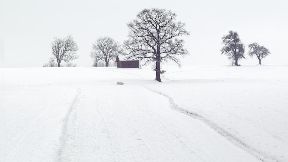 Autoscheibe von innen gefroren - Hausmittel, Tipps und schnelle Lösung