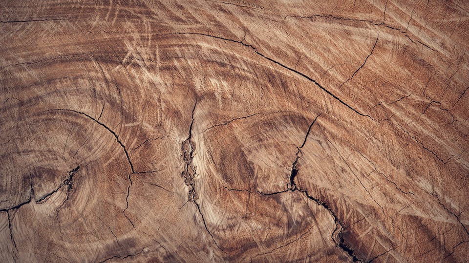 DIY mit Altholz - Altholz wiederverwerten - Trends 2024