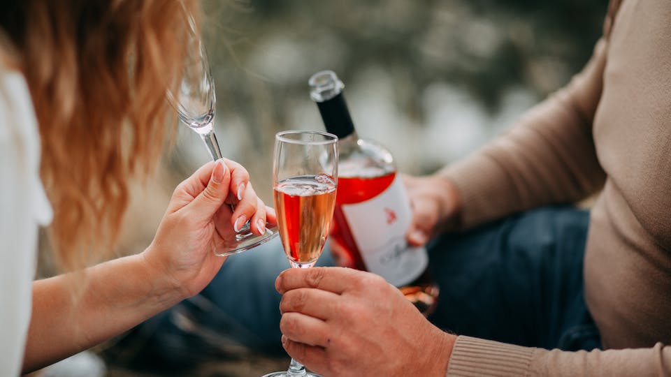 Lemonswan Erfahrungen - Tipps und Tricks zur Partnervermittlung. Klappt das wirklich Ratgeber