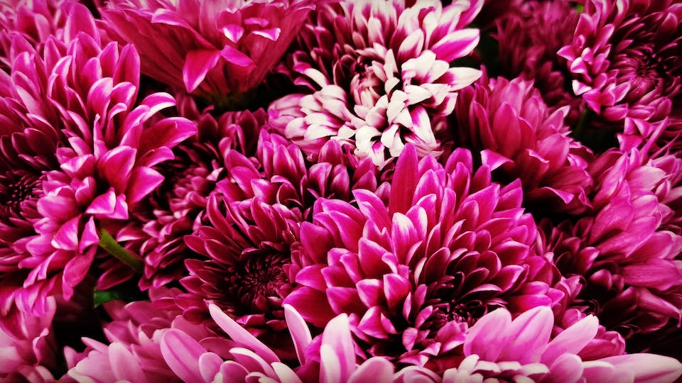 Magenta TV Störung - Magenta TV geht nicht - Lösung und Tipps