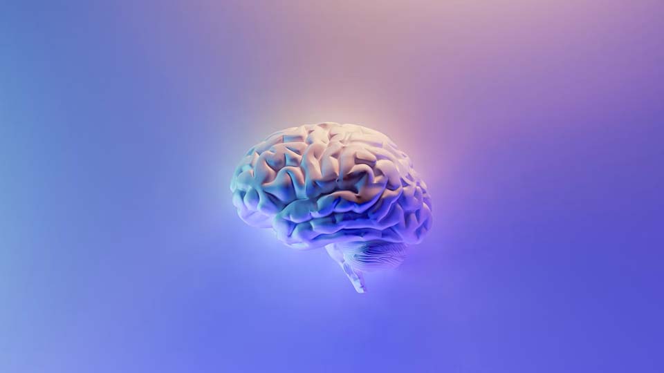 Die Psychologie des Wettens Einblick in das Denken eines Spielers