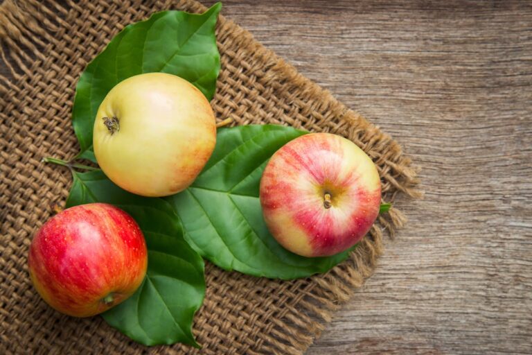 Wie viele Kalorien hat ein Apfel | Nährwerte & Tipps