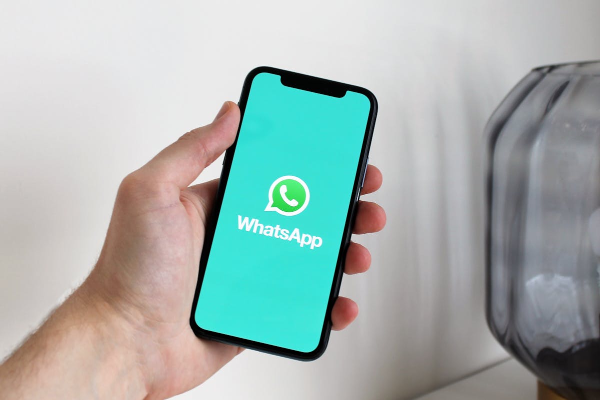 Wie finden Sie das perfekte WhatsApp-Profilbild für Ihr Profil und übertragen WhatsApp-Daten sicher