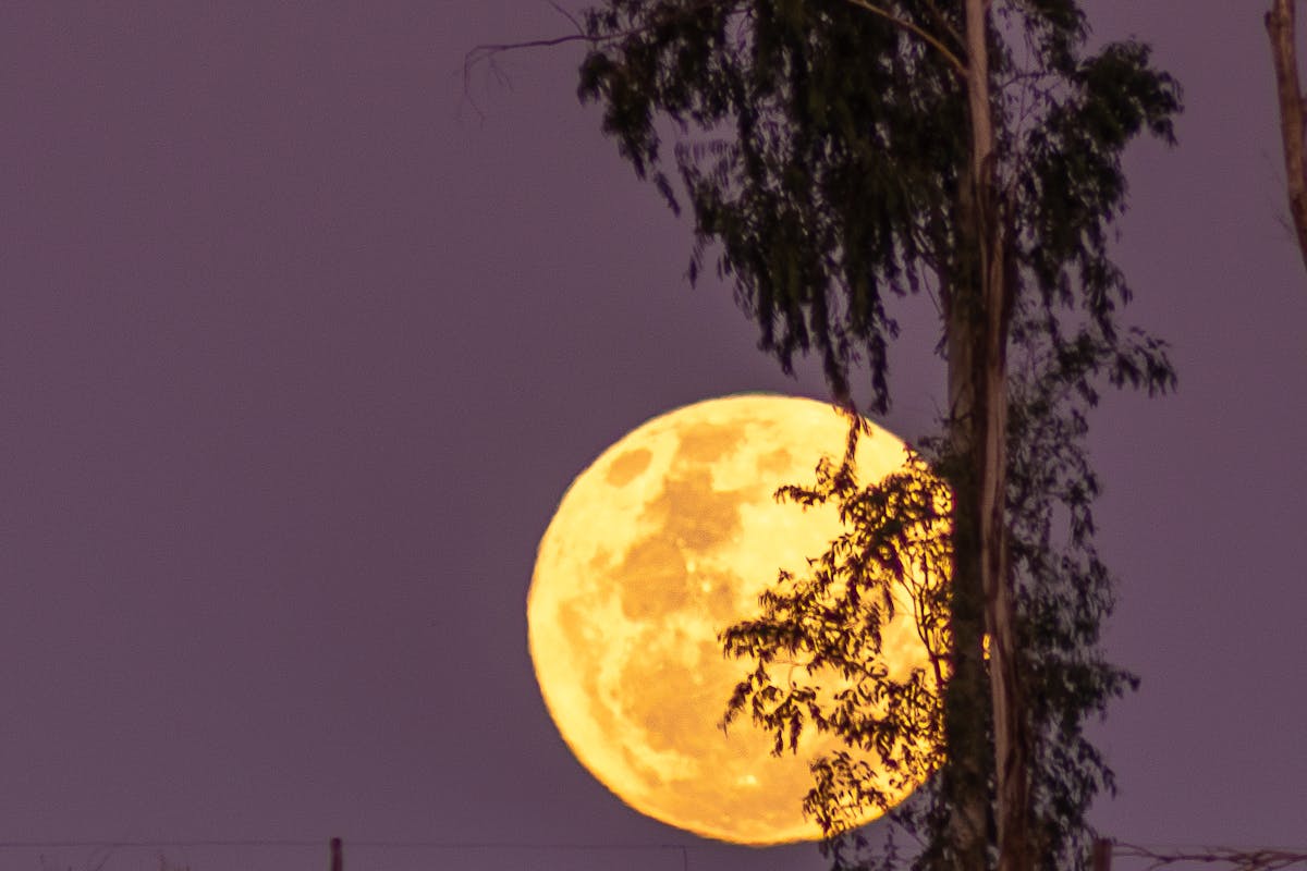 Holztisch knackt bei Vollmond – Mythos oder Physik?