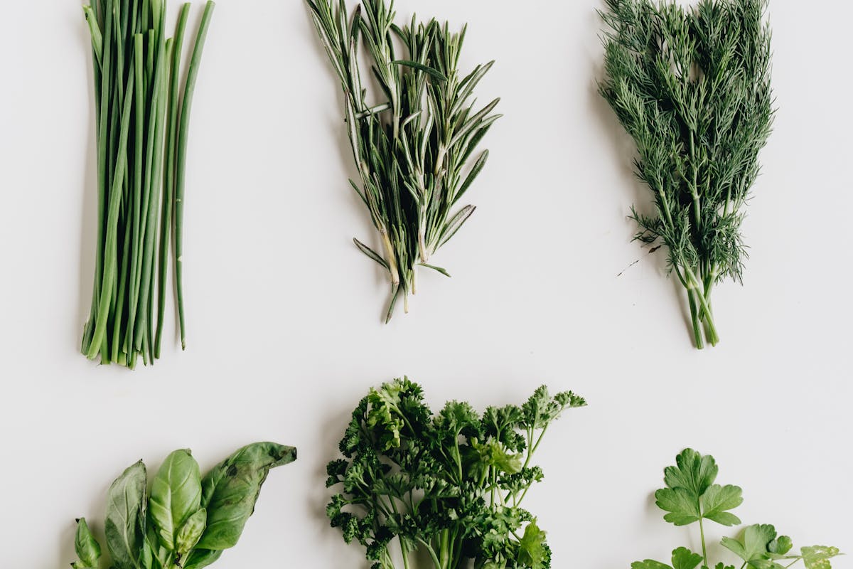 Welche Kräuter passen perfekt zu Ofengemüse?