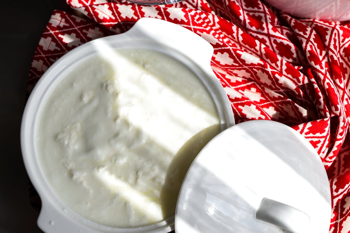 Was tun, wenn Joghurt im Becher schimmelt?